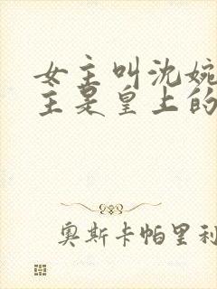 女主叫沈婉,男主是皇上的小说