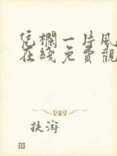 凭栏一片风云起在线免费观看