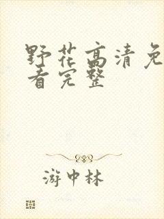 野花高清免费观看完整