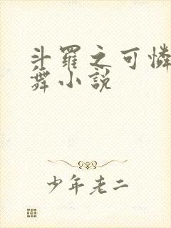 斗罗之可怜的小舞小说封面