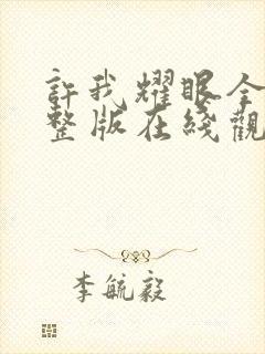 许我耀眼全集完整版在线观看封面