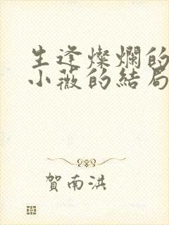 生逢灿烂的日子小薇的结局