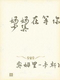 妈妈在等你有多少集