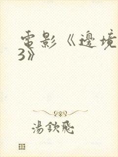 电影《边境杀手3》封面