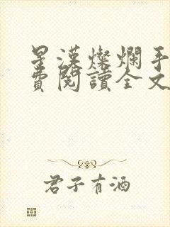 星汉灿烂手机免费阅读全文