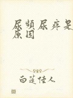 尿频尿疼是什么原因