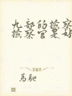 九部的检察官陈检察官是好人吗封面