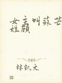 女主叫苏芒男主姓顾封面