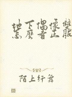 地下偶像双男主怎么看正版