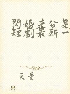 闪婚老公是豪门短剧最新一集封面