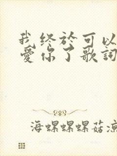 我终于可以不再爱你了歌词