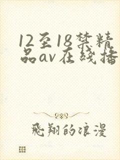 12至18禁精品av在线播放
