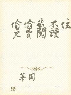 偷偷藏不住完本免费阅读