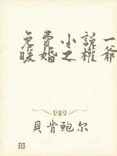 免费小说一名门暖婚之权爷追妻攻略