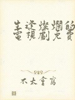 生逢灿烂的日子电视剧免费看