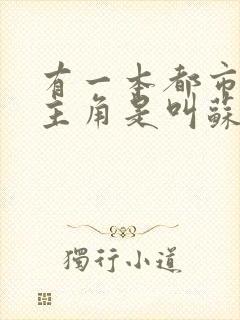 有一本都市小说主角是叫苏辰封面