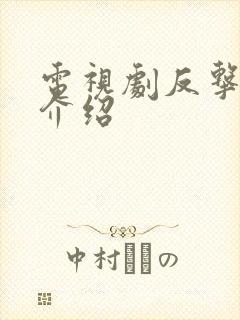 电视剧反击剧情介绍封面