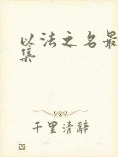 以法之名最后一集