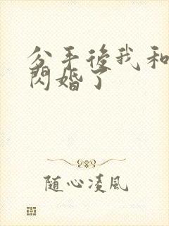 分手后我和首富闪婚了