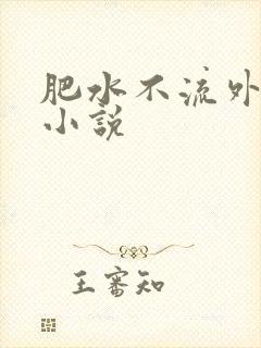 肥水不流外人田小说