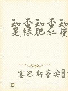 知否知否知否应是绿肥红瘦哪一年