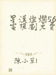 星汉灿烂56集电视剧免费下载