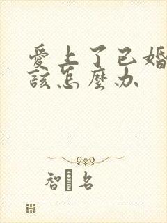 爱上了已婚男人该怎么办封面