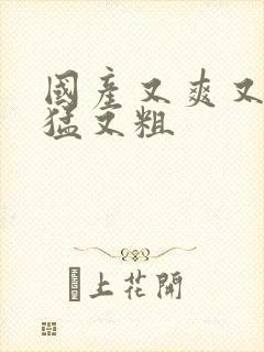 国产又爽又黄又猛又粗