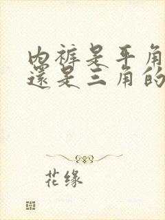 内裤是平角的好还是三角的好