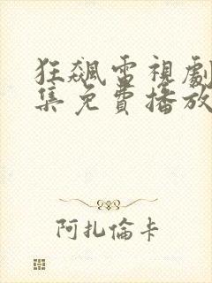 狂飙电视剧40集免费播放在线