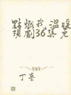 点燃我温暖你电视剧36集免费观看