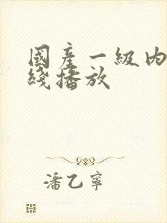 国产一级内射在线播放