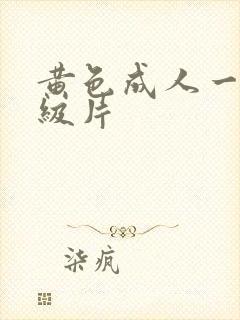 黄色成人一级二级片