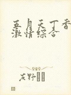 五月天丁香婷婷激情综合封面