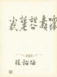 小说甜妻吻安总裁老公超棒的