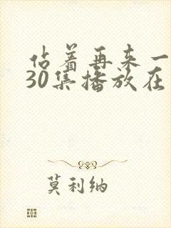 站着再来一次第30集播放在线观看