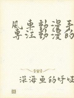 风车动漫手机版专注动漫的门户网站封面