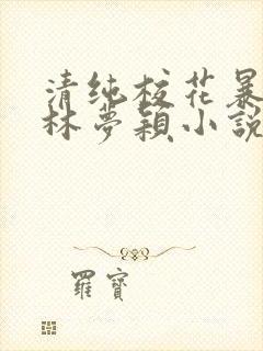 清纯校花暴露记林梦颖小说免费阅读封面