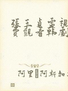 张玉贞电视剧免费观看韩剧网