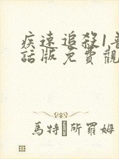 疾速追杀1普通话版免费观看国语