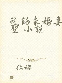 我的未婚妻是剑圣 小说