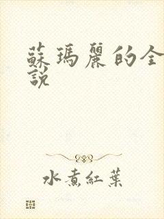 苏玛丽的全部小说