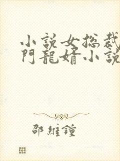 小说女总裁的上门龙婿小说