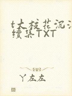 t大校花沉浮录续集TXT