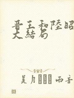 晋王和陆昭菱的大结局