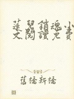 莲儿销魂小说全文阅读免费无弹窗