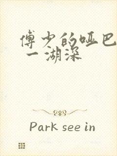 傅少的哑巴新妻 一湖深封面