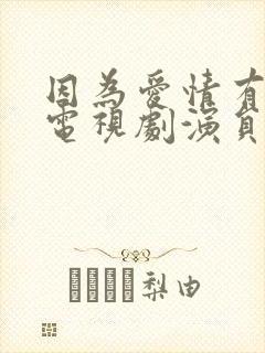 因为爱情有多美电视剧演员表介绍