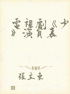 电视剧《少年派》演员表