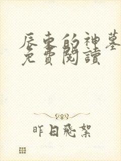 辰东的神墓小说免费阅读